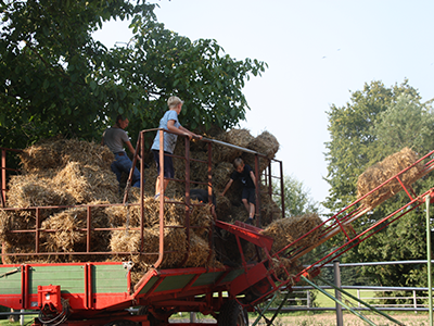 Landwirtschaft2